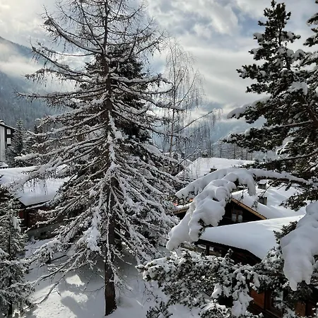 Apartamento Terrazza Brengaz